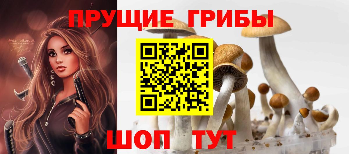 Галлюциногенные грибы Psilocybe Учалы