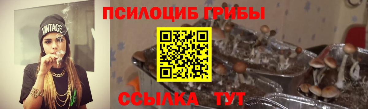 Учалы  Галлюциногенные грибы Psilocybe  Галлюциногенные грибы ЛСД  наркошоп  Вход с VPN 